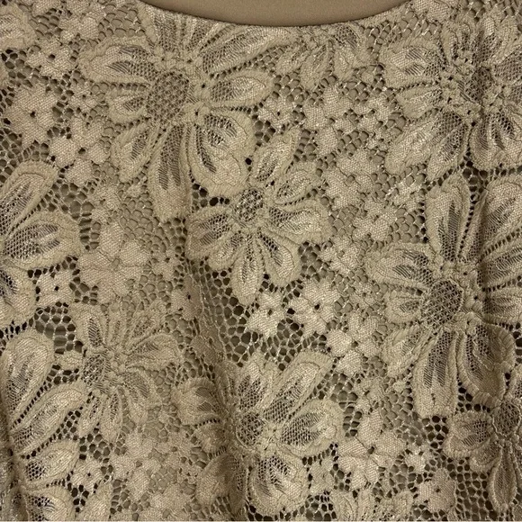 Calvin Klein Sleeveless Sheath Dress Size 14 Ruched Stretch Floral Lace Taupe - Picture 6 of 14